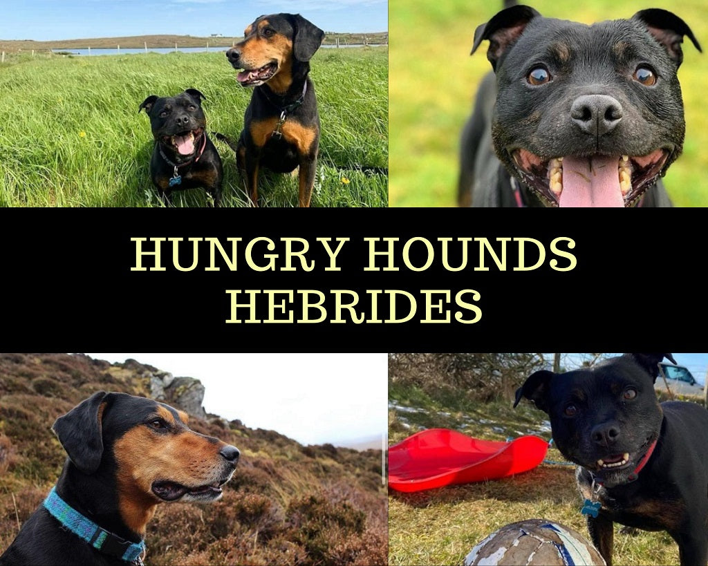 Hungry Hounds Hebrides profile Picture