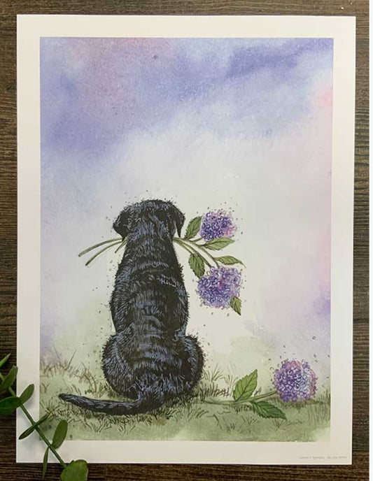 Labrador and Hydrangeas Art Print